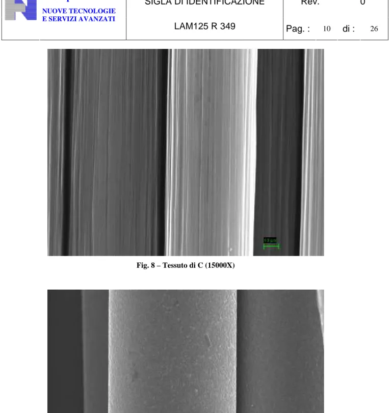 Fig. 8 – Tessuto di C (15000X) 