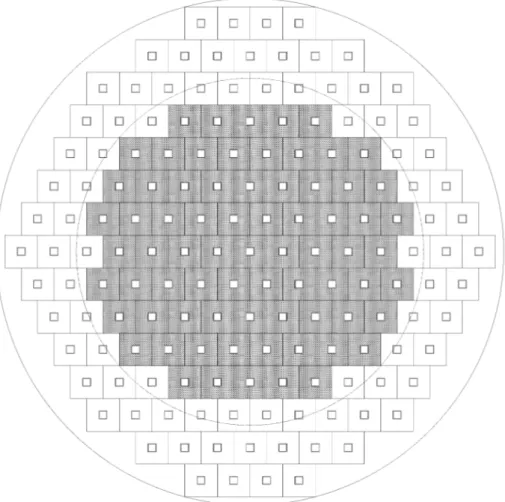 Figura 4. Mappa di nocciolo ridotto, in cui si mostrano le 73 posizioni utili (grigie)  circondate da altre posizioni (bianche) per elementi schermanti
