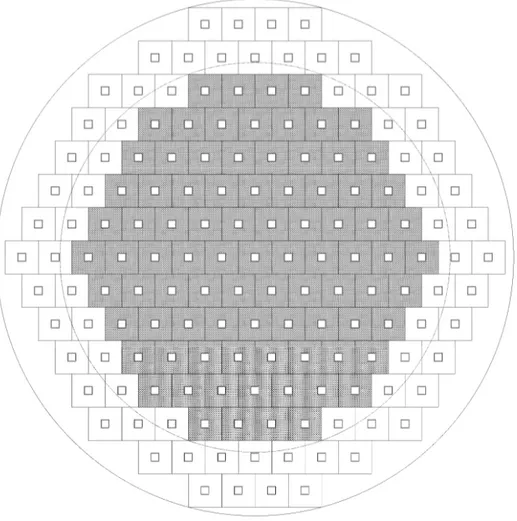 Figura 3. Mappa di nocciolo, in cui si mostrano le 87 posizioni utili (grigie)  circondate da altre posizioni (bianche) per elementi schermanti