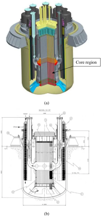 Figure 2 –  ALFRED reactor scheme (a) and elevation view (b). Core region 