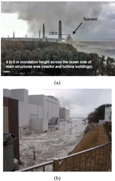 Figure 4: View of the Fukushima Dai-chi reactor flood elevation (a) and inundation (b)  (Source: Tepco©, 2011)