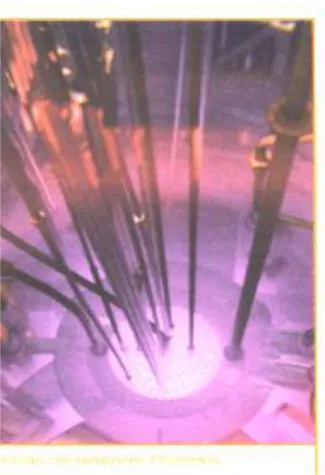 Figura	
  20.  Vista	
  del	
  nocciolo	
  del	
  reattore	
  TRIGA	
  RC-­‐1	
  dell’ENEA	
  