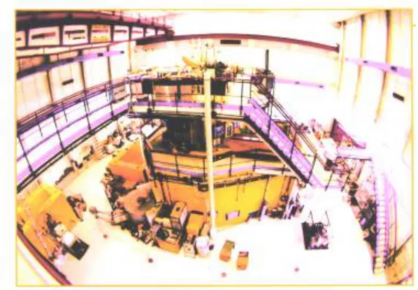 Figura	
  21.  Vista	
  della	
  hall	
  tecnologica	
  	
  del	
  reattore	
  TRIGA	
  RC-­‐1	
  	
  