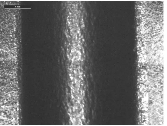 Figura 14b – Immagine allo stereo microscopio di piega con assenza di cricche (acciaio austenitico incrudito al 30%,  direzione perpendicolare alla laminazione) 