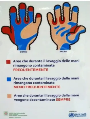 Figura 16.1 – Contaminazione delle mani 