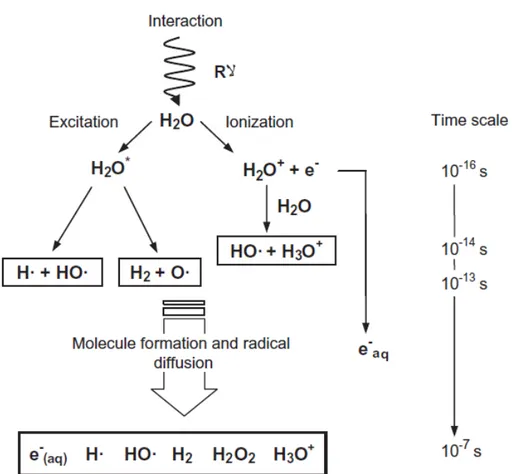 Fig. 4. Schema delle reazioni di degradazione dei contaminanti. 
