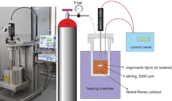Figura 3: Reattore di Parr presso il CR ENEA della Trisaia utilizzato per il trattamento organosolv del legno 