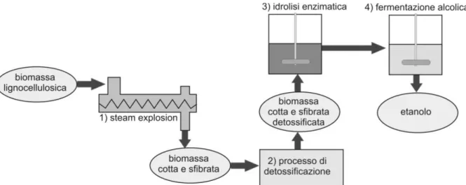 Figura 2: Schema di processo della conversione della biomassa lignocellulosica in bioetanolo