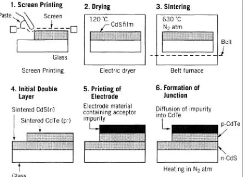 Figura 10 - Sequenza per la formazione di celle CdTe a contatti stampati 