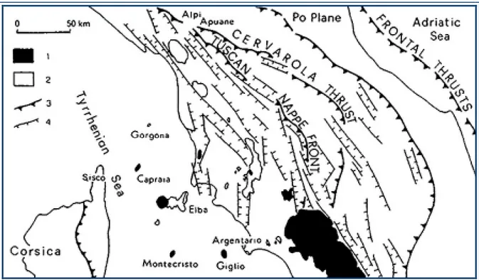 Fig. 3: schema strutturale attuale dell’Appennino settentrionale. (Da Carmignani et al., 1990)