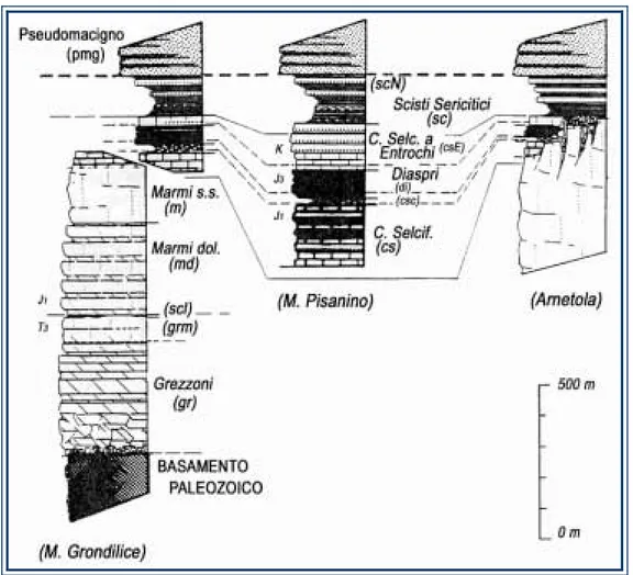 Fig. 8: successioni stratigrafiche delle Unità delle Apuane (Autoctono Auctt.), in tre diversi settori del 