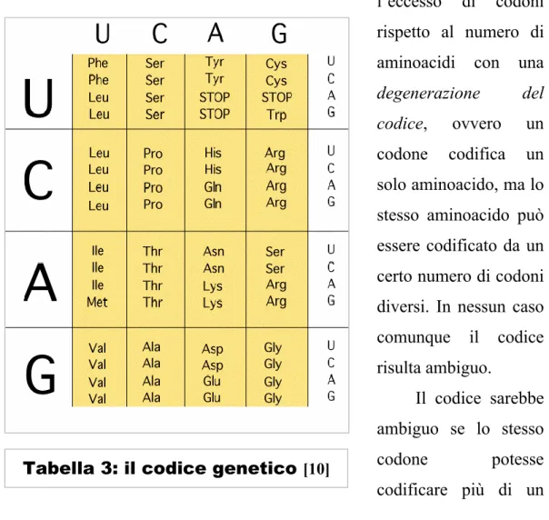 Tabella 3: il codice genetico  [10]