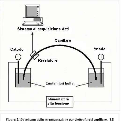 Figura 2.13: schema della strumentazione per elettroforesi capillare. [12]