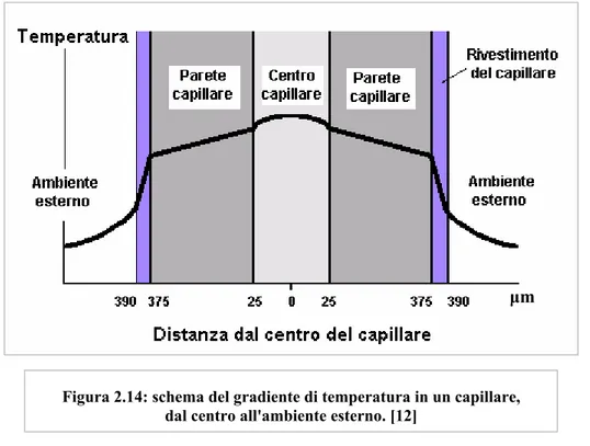 Figura 2.14: schema del gradiente di temperatura in un capillare,  dal centro all'ambiente esterno
