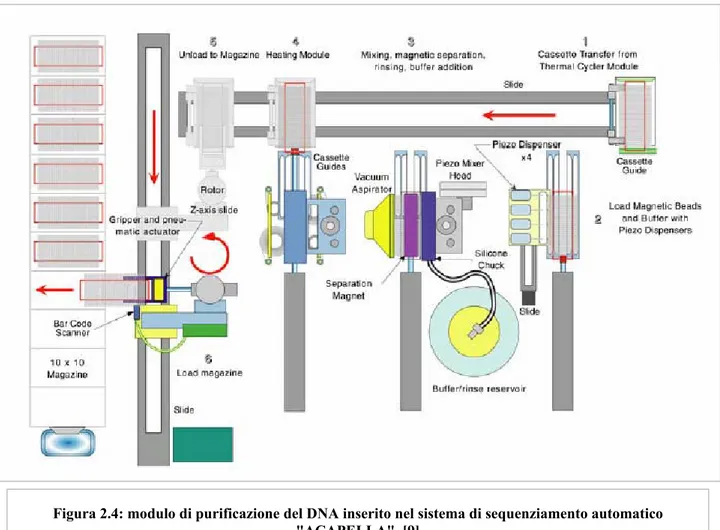 Figura 2.4: modulo di purificazione del DNA inserito nel sistema di sequenziamento automatico  &#34;ACAPELLA&#34;