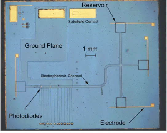 Figura 3.31: “micrograph” ottico dello strumento per elettroforesi. Su un singolo  chip sono integrati: fotodiodi, filtro di interferenza, “ground plane” trasparente, 