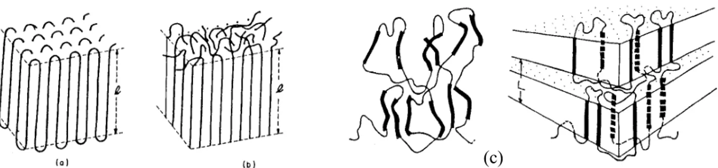 Figura 1.5. Immagini di come una catena polimerica si dispone nel cristallo: a) Adjacent-reentry b) 