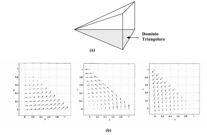 Fig 2.8 Rappresentazione dell’andamento del modulo (a) e dell’andamento vettoriale (b) delle funzioni di  Whitney per un triangolo rettangolo