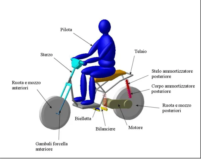 Figura 3.1 - Modello multibody scooter Liberty e pilota 