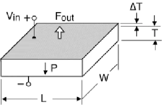 Figure 1: motore longitudinale (d33) 