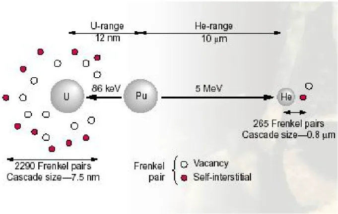 Figura 5.16 - Formazione dei difetti in seguito al decadimento del plutonio [5.3] 