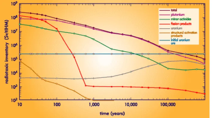 Figura 5.7 - Evoluzione temporale del'inventory radiotossico per i materiali di interesse nella tecnologia dei reattori LWR [4.2] 