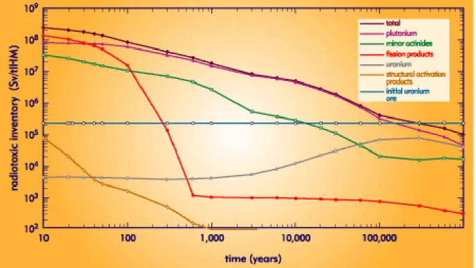 Figura 7.1 - Evoluzione temporale dell'inventory radiotossico del combustibile esausto del LWR a 45 GWd/t 