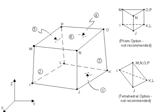 Fig. 5. 9: rappresentazione schematica dell’elemento SOLID 185 