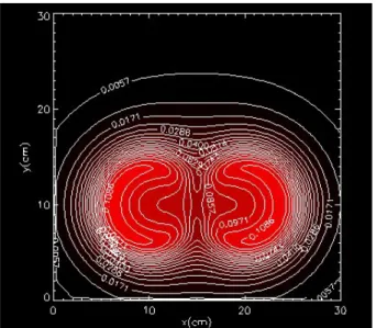 Fig. 2.5-Curve di livello del campo magnetico alla coordinata z=2cm per un 
