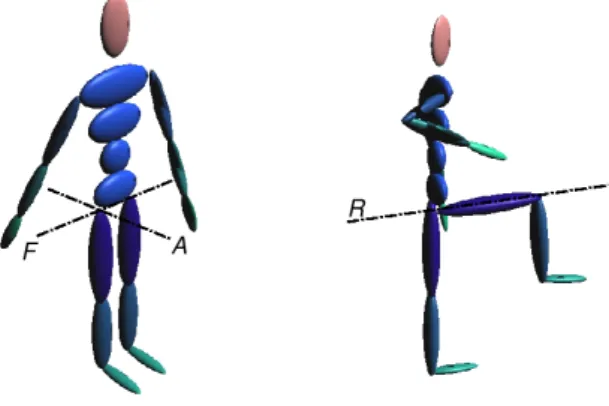 Figura 2.15: Assi di riferimento per i movimenti dell'anca.
