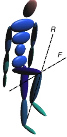 Figura 2.16: Assi di riferimento per i movimenti del ginocchio.