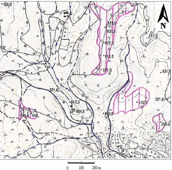 Figura 46: Ingrandimento dello stralcio della carta geomorfologica 1:10.000 con evidenziate alcune  superfici suborizzontali di origine complessa