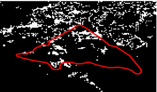 Figura 8.2. Il poligono rosso rappresenta la superficie  percorsa da incendio a sud ovest dell’isola secondo i  dati del Corpo della Forestale