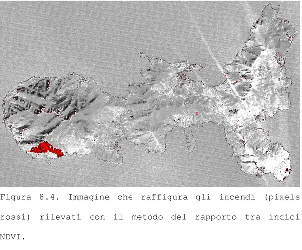 Figura 8.4. Immagine che raffigura gli incendi (pixels  rossi) rilevati con il metodo del rapporto tra indici  NDVI