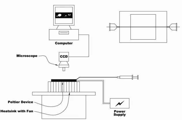 Figure 2.2: Experiment setup