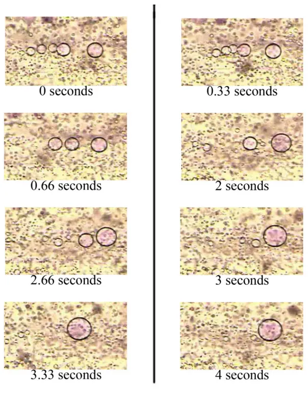 Figure 2.7: Phase Separation pictures