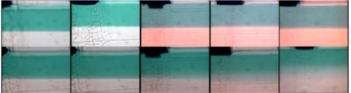 Figure 3.3: Images at the five electrodes, from the most upstream (left-side column) to the most downstream (right-side column), when no voltage is applied (upper row) and when a 101.5 voltage is applied (lower row) to the first couple of electrodes.