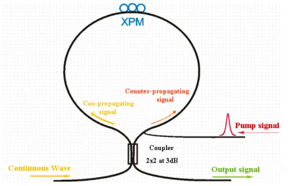 Figure 2.5: NOLM-based wavelength converter.