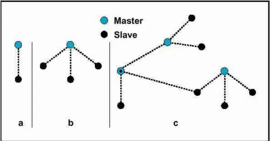 Figura 1.5  Piconet con un singolo slave (a), multi-slave (b) e scatternet (c) 