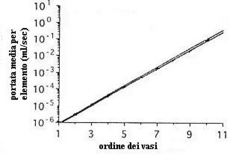 Fig 4-10   Portata media per elemento in funzione dell’ordine del vaso. 