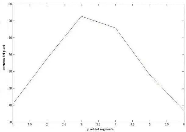 Fig 6- 4    Andamento medio dei valori di temperatura lungo i segmenti trasversali rappresentati in fig