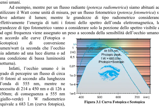 Figura 3.1 Curva Fotopica e Scotopica 