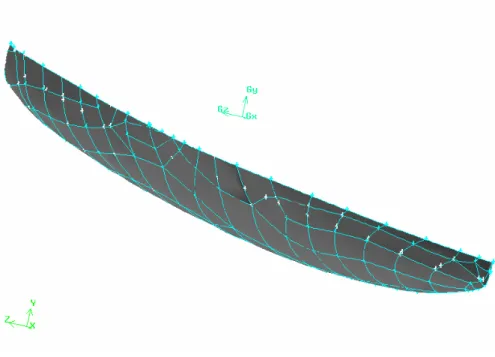 Figura 5.1 – Modello IGES della superficie del kayak. 