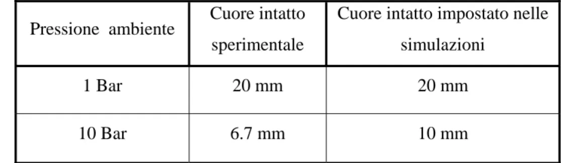 Tabella 8.2 - I parametri assunti nella simulazione dello spray.