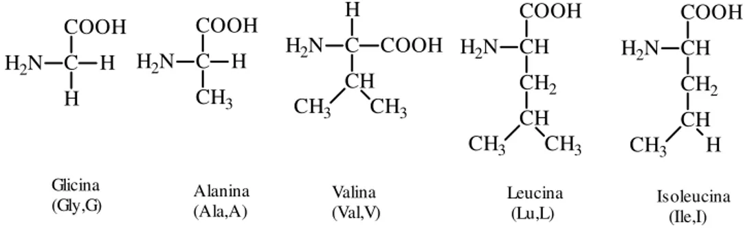 Fig. 1.1.6 : Amminoacidi con catene laterali aromatiche [3] 