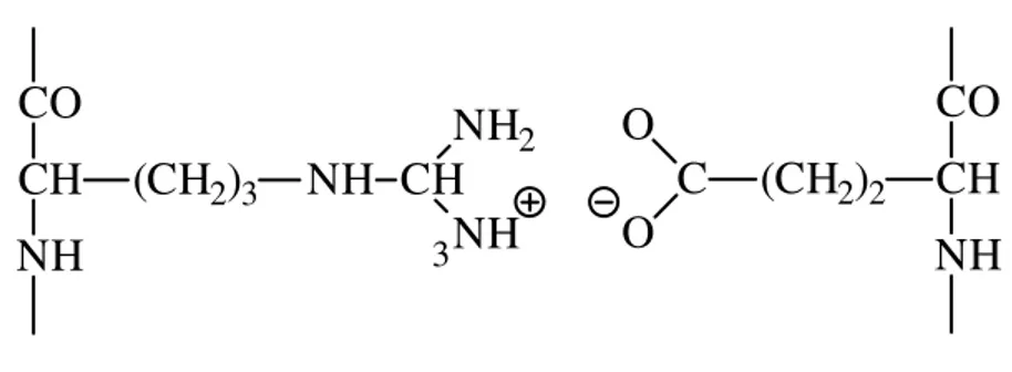 Fig. 1.1.13 : Esempi di legame a idrogeno [4] 