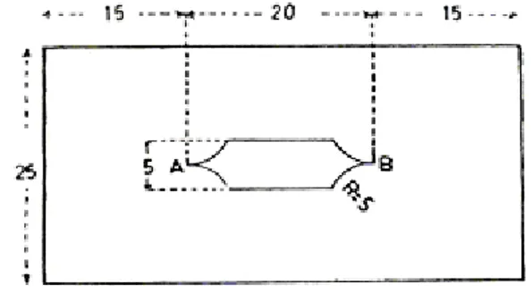 Fig. 3.5.4.1 : Forma del provino per la prova di resistenza allo strappo 