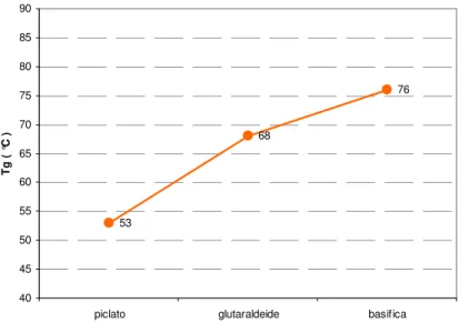 Fig. 4.3.4.2 : Incremento Tg prova 5 