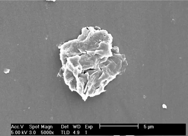 Figure 3.4: Scanning electron micrograph of a Nanocor® I.30P particle 