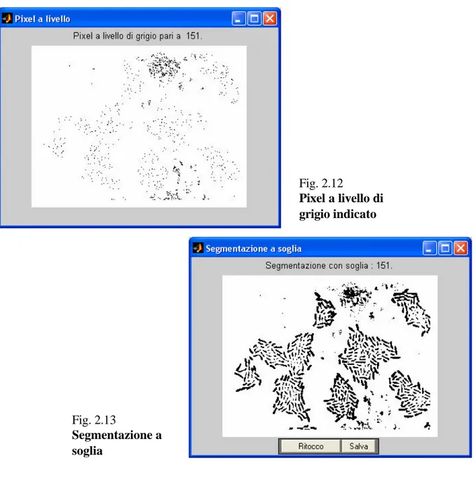 Fig. 2.12  Pixel a livello di  grigio indicato  Fig. 2.13  Segmentazione a  soglia 